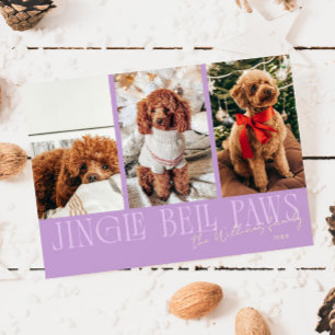 Jingle Bell Paws Christmas Wisteria Dog Photo  Holiday Card