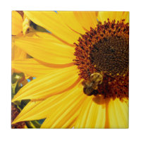 jjhelene "Teddy Bear Queen Bee" Designs
