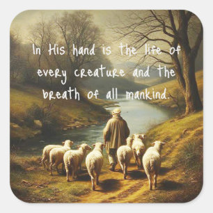 Job 12:10 Scripture Life of Every Creature Square Sticker