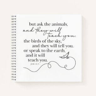 JOB 12:7 - Journal