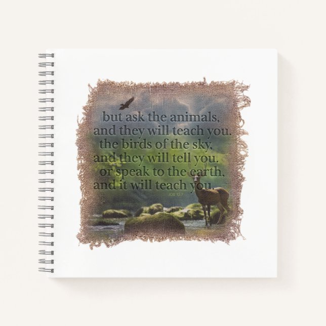 JOB 12:7 - Journal (Front)