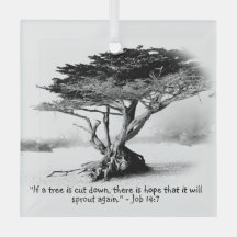 JOB 14:7 Glass Ornament