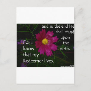Job 19:25 I know that my Redeemer Lives! Postcard