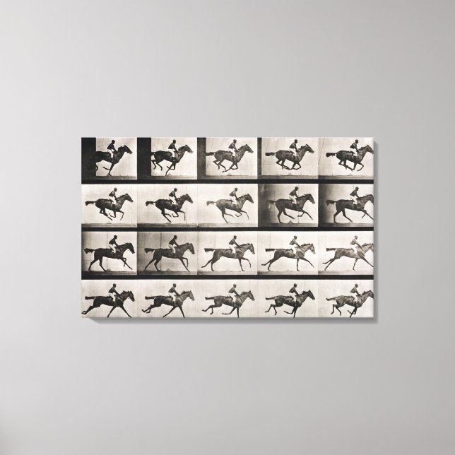 Jockey on a galloping horse, plate 627 from 'Anima Canvas Print (Front)