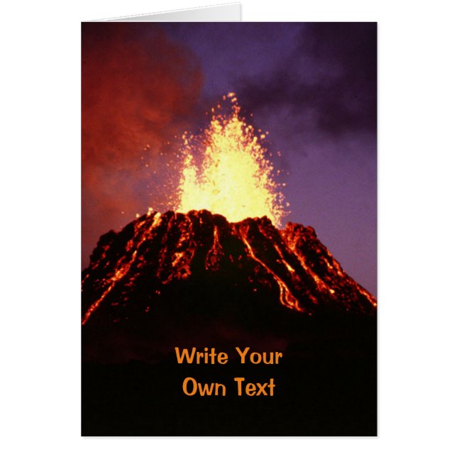 Joe Biden & Kamala Harris - Write Your Own Text (Front)