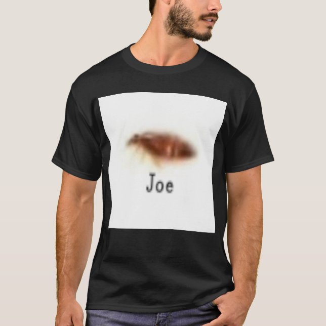 Joe shitpost low quality funny meme T-Shirt (Front)