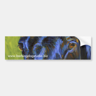 Joe's Eyes Bumper Sticker
