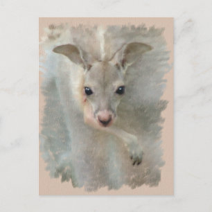 Joey - Pastels Post Card