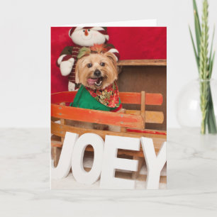 Joey Preparing to Help Santa Holiday Card