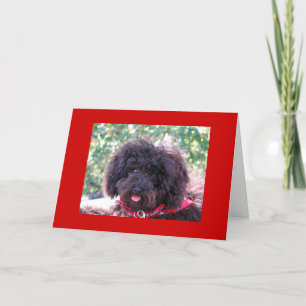 Joey  "Thank You" Thank You Card