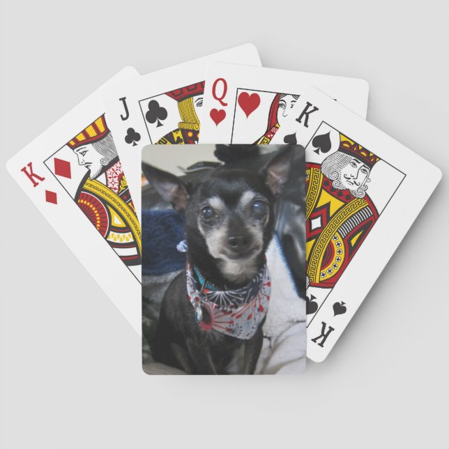Joey  the chihuahua Playing Cards (Back)