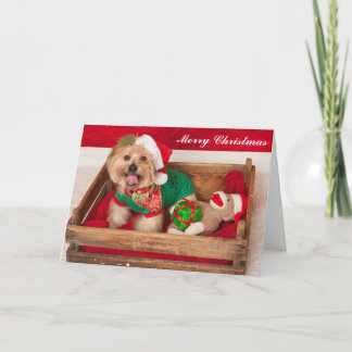 Joey wishes Everyone a Merry Christmas Holiday Card