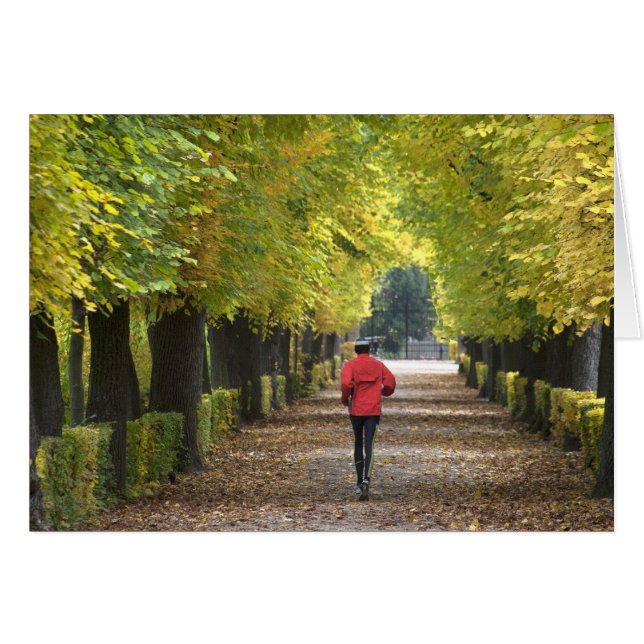 Jogger (Front Horizontal)