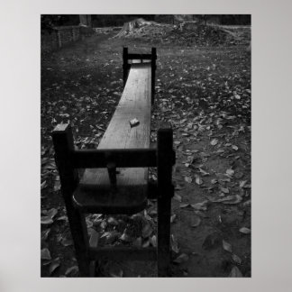 Jogglin' Board in Black and White Poster