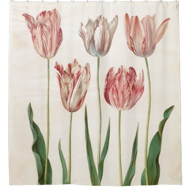 Johannes Simon Holtzbecher Tulips Shower Curtain (Front)