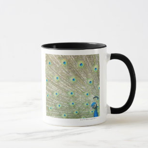 Johannesburg Zoo, Gauteng Province, South Africa Mug