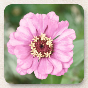 Johann's Beauty Cork Coaster