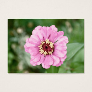 Johann's Beauty Mini Print