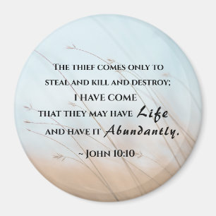 John 10:10 I have come that they may have life  Magnet