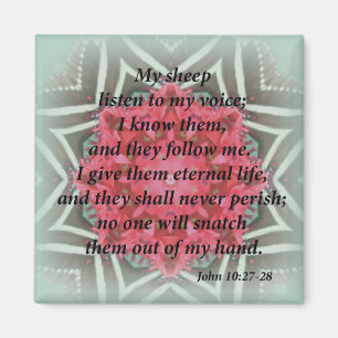 John 10:27-28 magnet