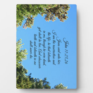 John 11:25,26 Jesus said unto her, I am the Plaque