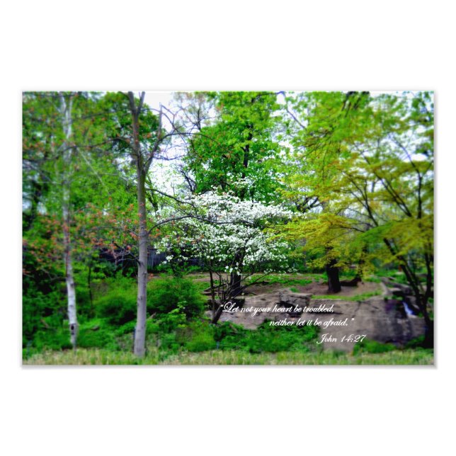 John 14:27  Let not your heart be troubled! Photo Print (Front)