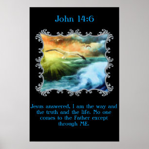John 14:6 With seagulls flying over the open sea Poster