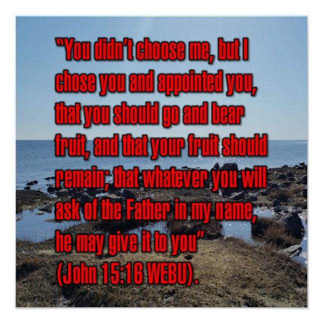 John 15:16 WEBU Poster (Front)