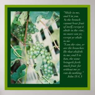 John 15: 4, 5  Scripture Poster
