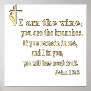 John 15:5 clothing and more poster