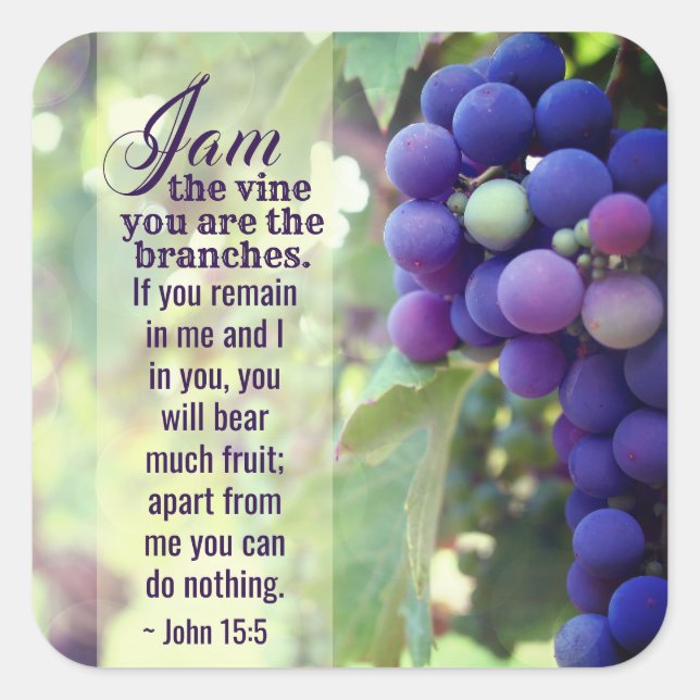 John 15:5 I Am the Vine You are the Branches Bible Square Sticker (Front)