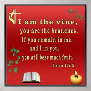 John 15:5  poster