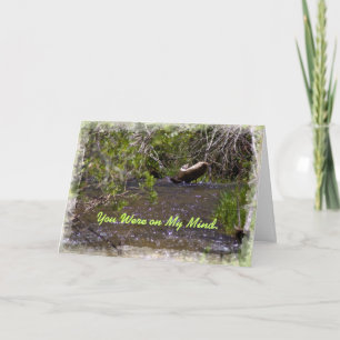 John 16:33 Encouragement card