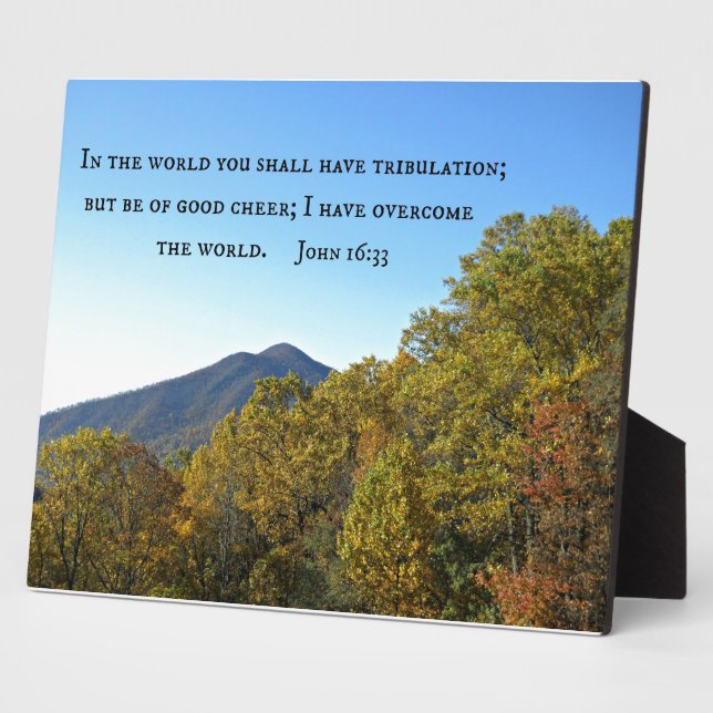 John 16:33 In the world ye shall have tribulation. Plaque (Side)