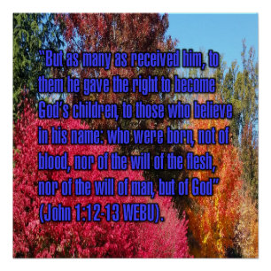 John 1:12-13 WEBU Poster