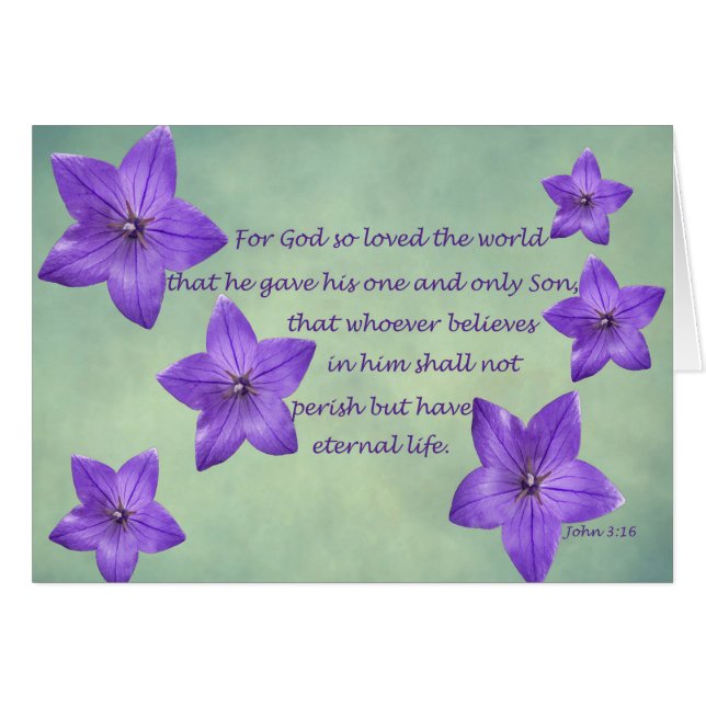 John 3:16 (Front Horizontal)