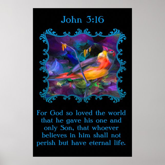 John 3:16 Beautiful rainbow colourful sparrow Poster (Front)