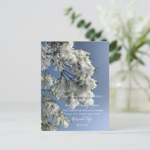 John 3:16 Custom Text Snow Nature Original Photo Postcard
