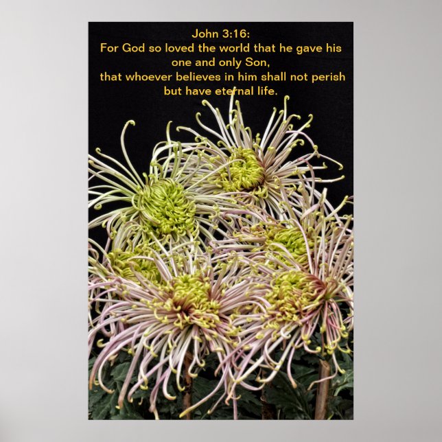 John 3:16 For God so loved the world Poster (Front)