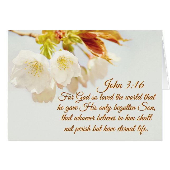 John 3:16 God so loved the world, Scripture Card (Front Horizontal)