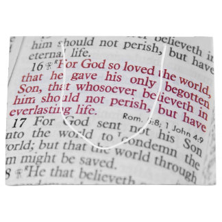 John 3:16 large gift bag