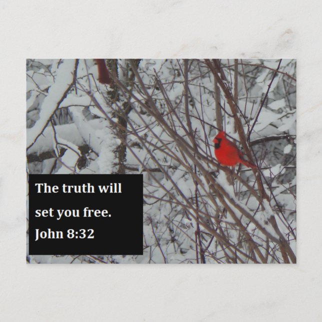 John 8:32 Scripture Post Card (Front)