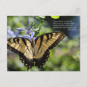 John 8 Yellow Swallowtail Butterfly Postcard