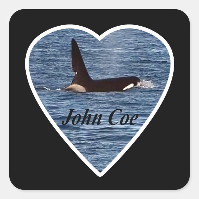John Coe Orca Killer Whale  Square Sticker (Front)