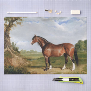 John Frederick Herring   A Clydesdale Stallion Tissue Paper