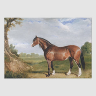 John Frederick Herring Snr A Clydesdale Stallion Tissue Paper