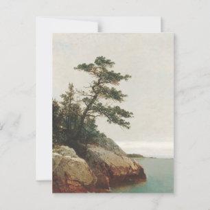 John Frederick Kensett Old Pine Landscape Print Postcard