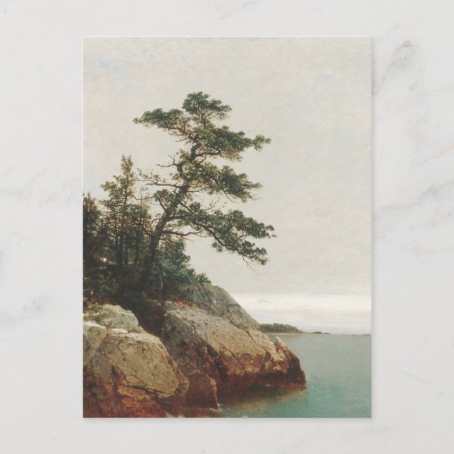 John Frederick Kensett Old Pine Landscape Print Postcard (Front)