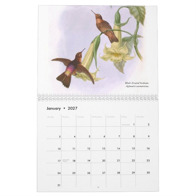 John Gould's Hummingbirds 2015 Calendar (Jan 2027)