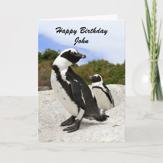 John Happy Birthday Penguins Humor Card (Front)